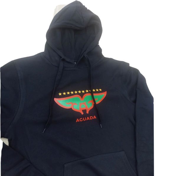 Buzo Canguro algodón aguada niño