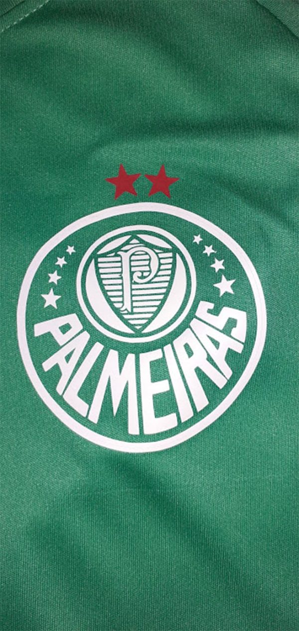 Equipo de futbol para niño M. Viña Palmeiras
