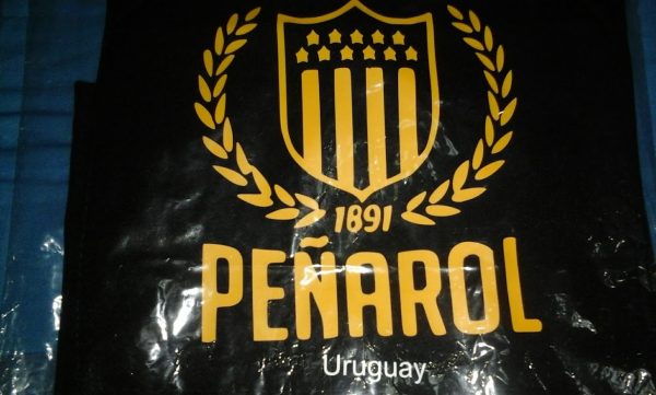Delantal futbol