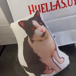 Peluches fotos mascotas reales