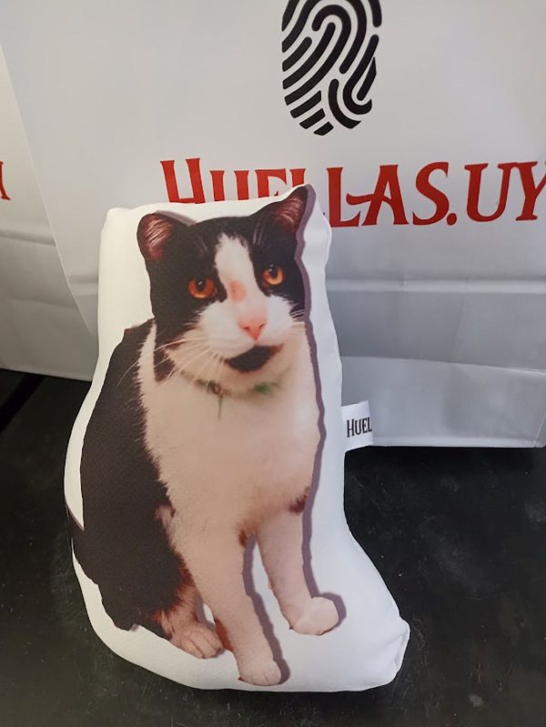 Peluches fotos mascotas reales