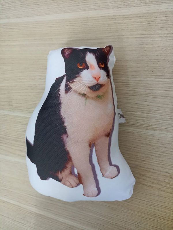 Peluches fotos mascotas reales